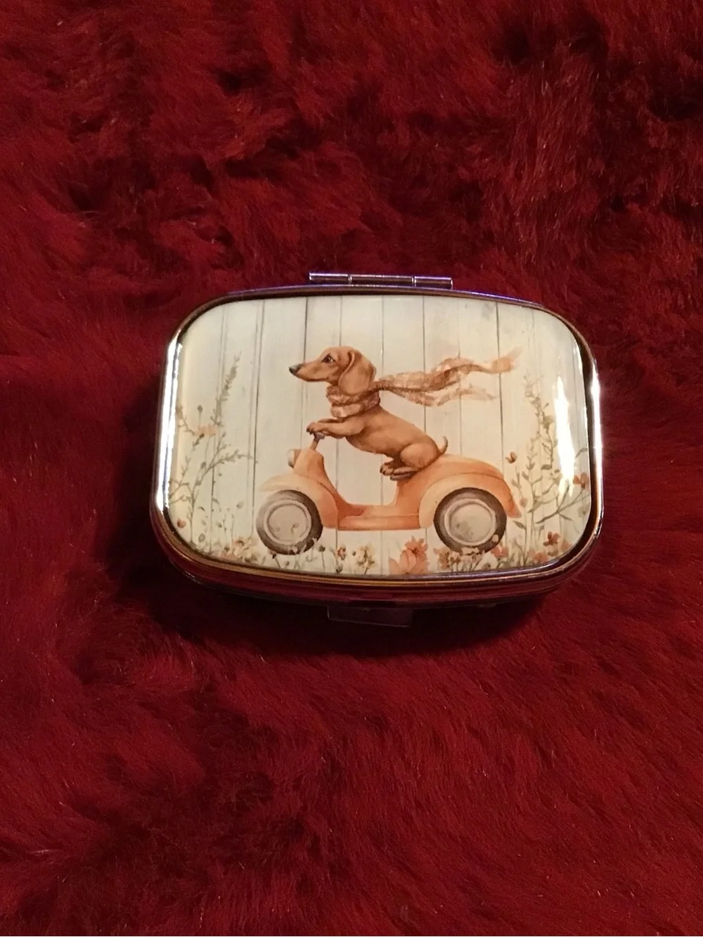 Dog Scooter mint or pill Box - Cream and Orange Dachshund Design